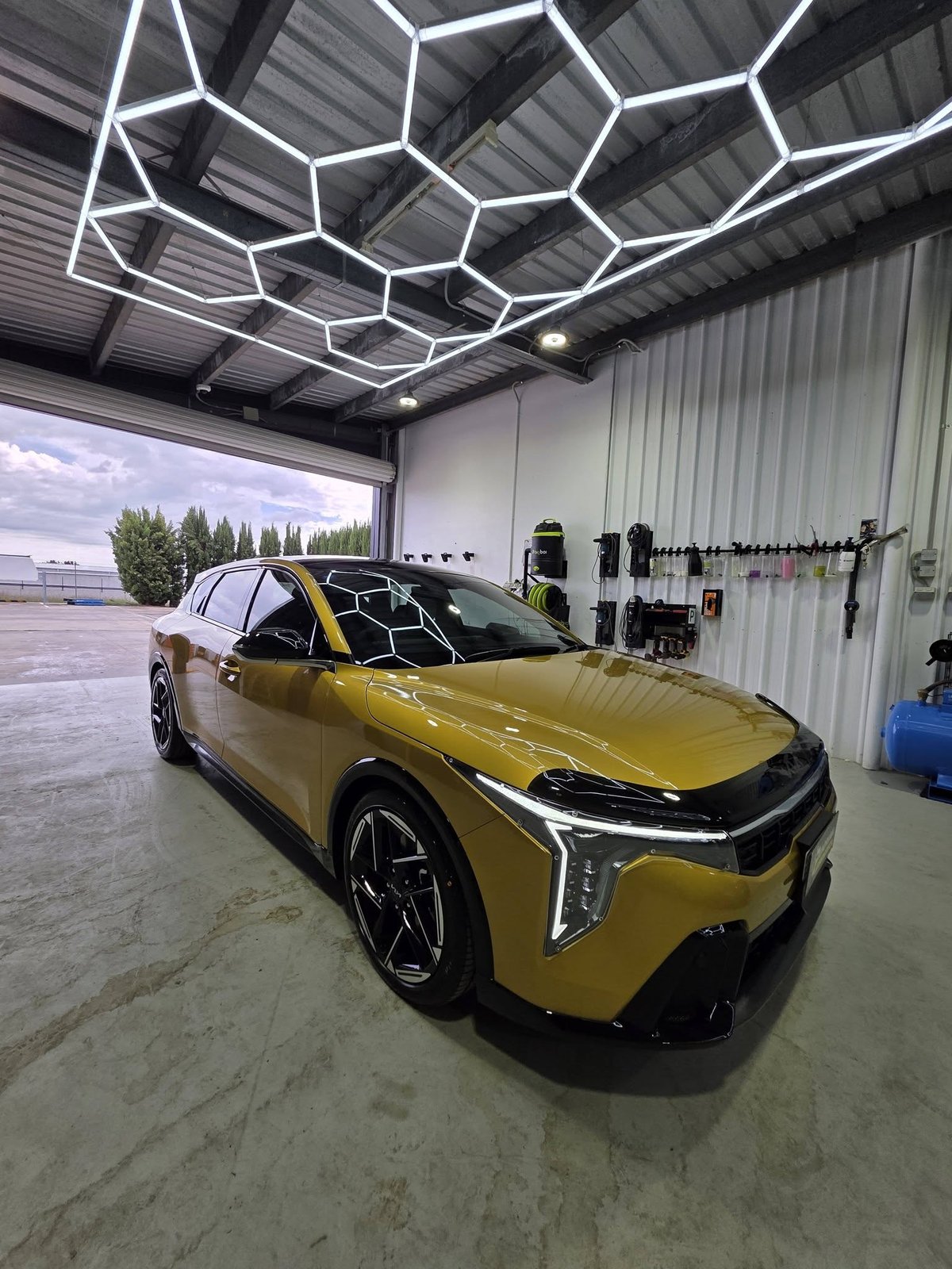 Kia EV Exterior Detail Kelso